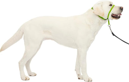 PetSafe Gentle Leader Headcollar No-Pull Dog Collar - Helps Improve Walks - Durable Nylon Construction - Padded Nose Loop - Adjustable Fit - Comfort Walking Halter - Large, Apple Green