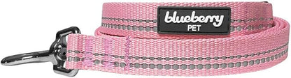Blueberry Pet 3M Reflective Pastel Color Dog Leash with Soft & Comfortable Handle, 5 ft x 5/8", Baby Pink, Small, Leashes for Dogs