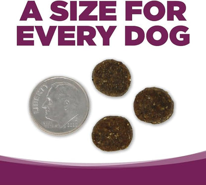 NutriSource Pure Vita Grain Free Pork & Blueberry Dog Food, 12LB