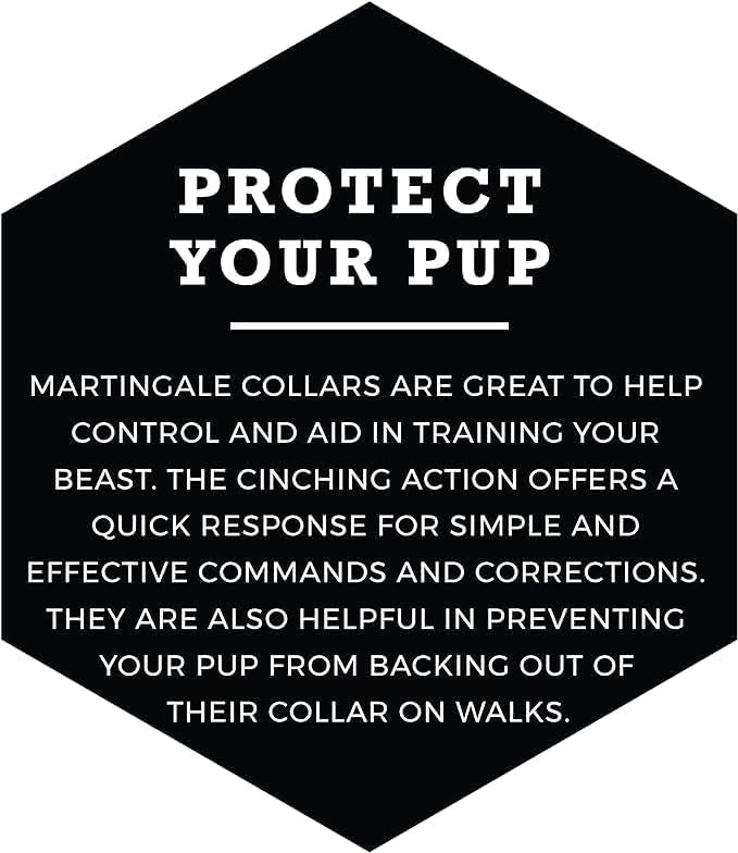 Wolfgang Heavy Duty Martingale Dog Collar with Quick Release Nylon Buckle for Walking & Training, Daydream Print, Medium