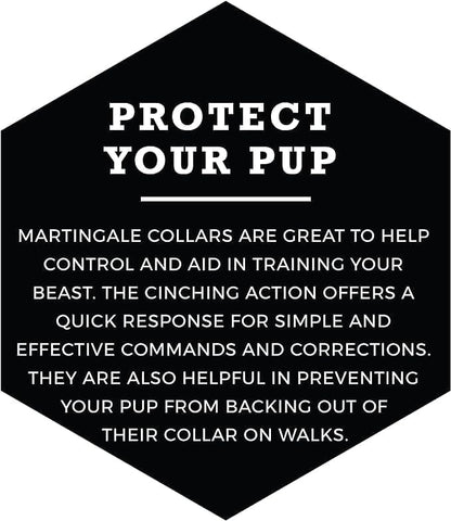Wolfgang Heavy Duty Martingale Dog Collar with Quick Release Nylon Buckle for Walking & Training, BuenaOnda Print, Large
