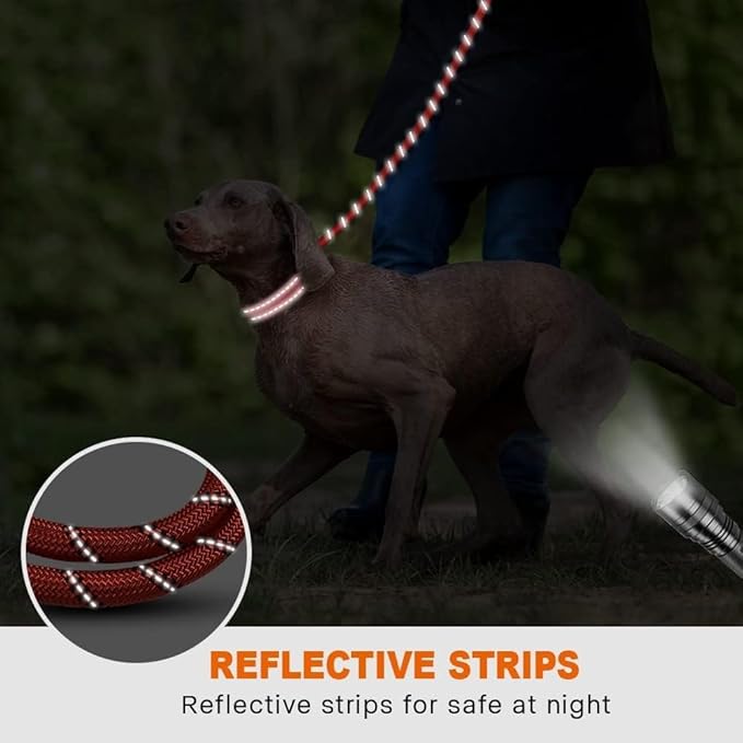 Taglory Rope Dog Leash 6 FT with Comfortable Padded Handle, Highly Reflective Threads Leash and Anti-Tangle Clip for Walking Medium Large Dogs, 1/2 inch, Red