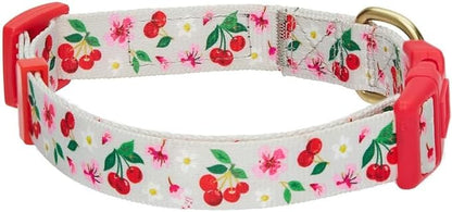 Blueberry Pet Dog Collar - Turquoise Floral Rose Print, Adjustable for Small Dogs, Neck 12"-16", Pink Puppy Collar with Eco-Friendly Buckles, Ideal Small Dog Collars for Female Dogs