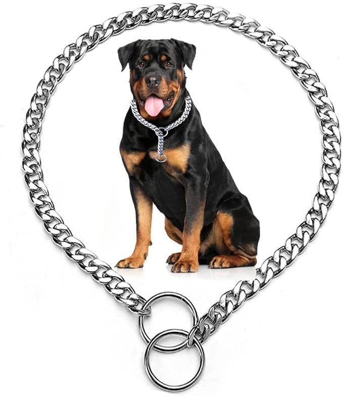 Silver Dog Chain Collar for Large Dogs, Slip P Heavy Duty Martingale Collar Training Metal Link for XS Small Medium Large Big Breed Dogs, XL