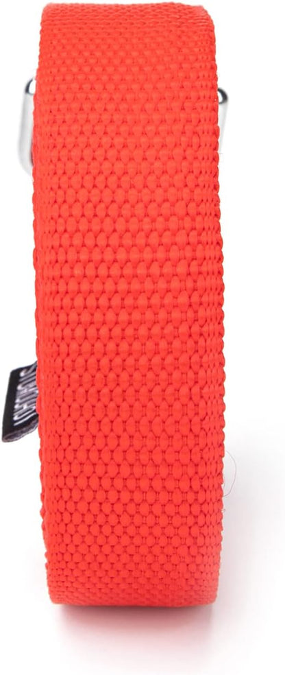 Strong Durable Nylon Dog Training Leash, 1 Inch Wide Traction Rope, 6 ft 10ft 15ft Long, for Small and Medium Dog (Red, 6 Feet)