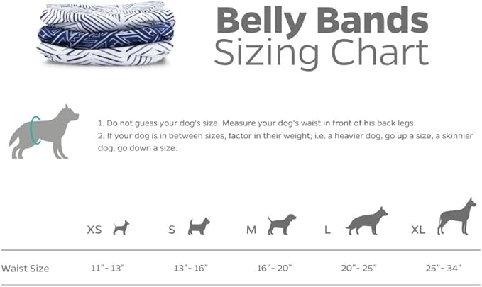 Pet Parents® Washable Belly Bands for Male Dogs (3pack) + Extendrs® of Durable Dog Diapers Male, Premium Male Dog Diapers & Dog Wraps (Small, Kahuna)