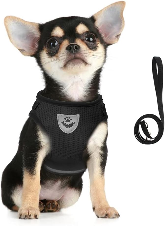 FEimaX Dog Harness and Leash Set for Walking, Soft Mesh Adjustable Easy Control Lightweight Cat Vest Harnesses with Reflective Strips, Escape Proof Small Dogs Cats Vests (Black, Medium)