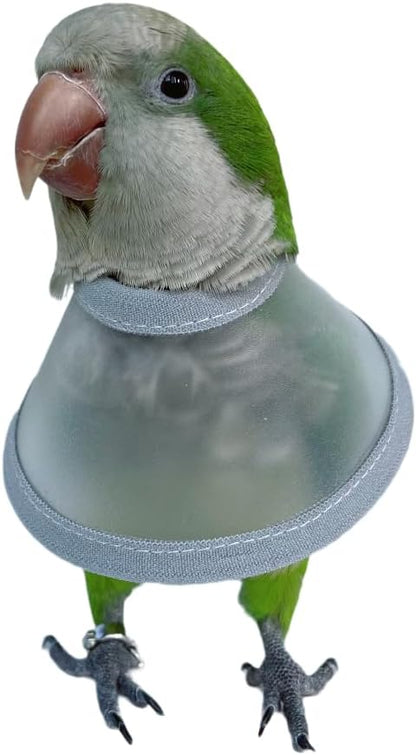 Adjustable Parrot Cone Collar, Safe and Practical Cotton Collar to Prevent Bites and Licking Wounds, to Help heal (M)
