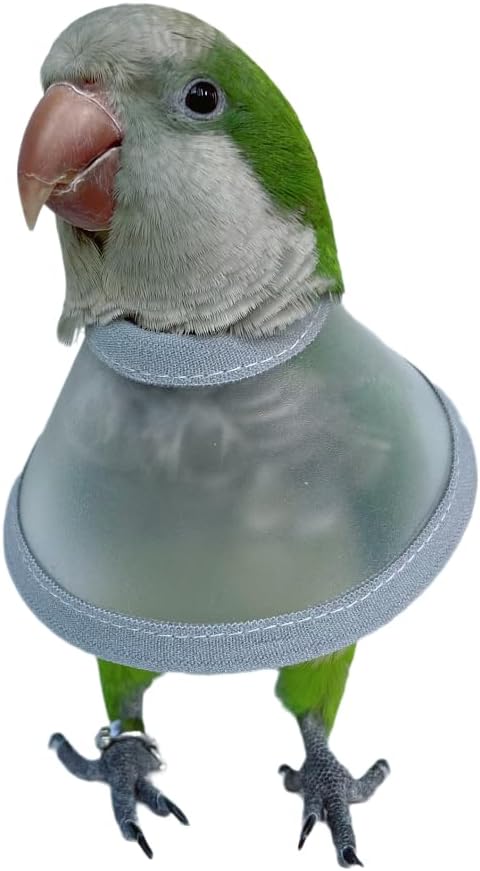 Adjustable Parrot Cone Collar, Safe and Practical Cotton Collar to Prevent Bites and Licking Wounds, to Help heal (S)