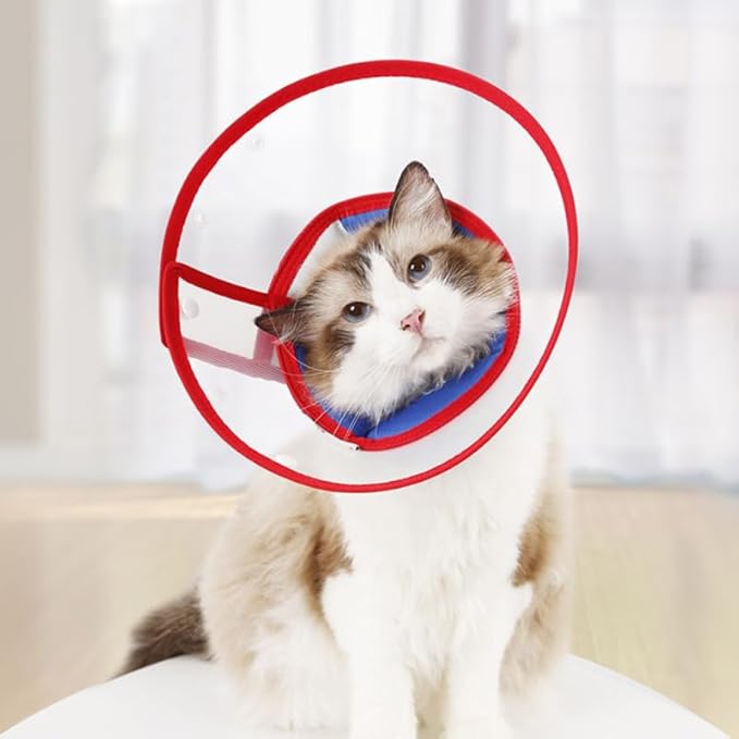 BESPORTBLE Adjustable Dog Recovery Collar Cone - Lightweight Anti-Scratch Neck Cone for Dogs and Cats Post Surgery Wound Protection with Adjustable Strap 9.84In