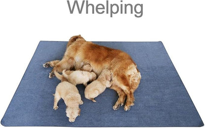Peepeego Non-Slip Dog Pad 65 x 48, Washable Puppy Pads with Fast Absorbent, Waterproof for Training, Whelping for Puppy Playpen