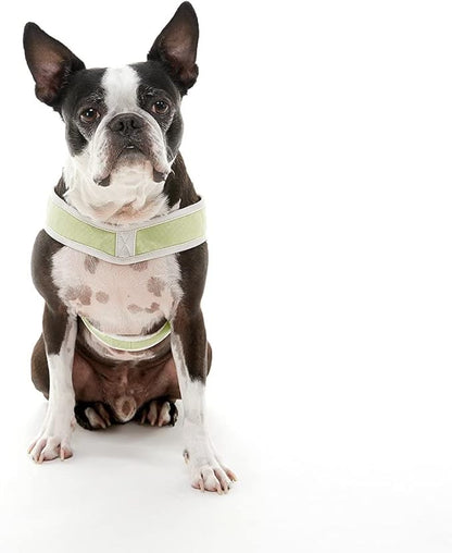 Gooby Simple Step in III Harness - Green, Large - Small Dog Harness with Scratch Resistant Outer Vest - Soft Inner Mesh Harness for Small, Medium Dogs