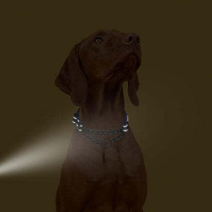 Martingale Collar with Chain，Stainless Steel Chain for Dogs, No Pull Slip Cinch Choker Choke Collar Training Heavy Duty Dog Collar for Small Medium Large Pet Boy Male Dog