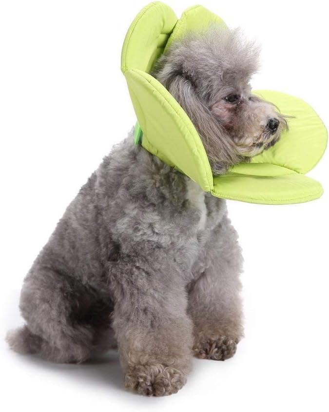 Dogs Cats Medical Grooming Pet E-Collar Recovery Remedy Protective Dog Lick Caught Soft Sponge Adjustable Postoperative Kit for Small and Medium Dog (Green, M (neck's Girth 10.6" to 11.4"))