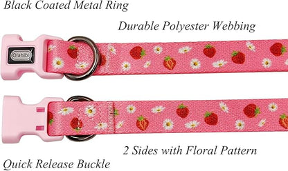 Dog Collar Leash Set, Floral Pattern, Polyester Material, Adjustable Collar and 5ft Matchcing Leash, for Medium Dogs.(M,Daisy and Strawberry)