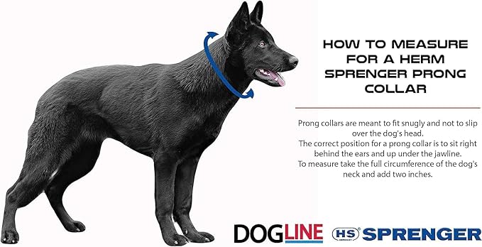 Herm Sprenger 1.5mm Micro Prong Collar for Dog Training | Micro Prong Stainless Steel Ultra-Plus Dog Collar | Training Collar for Extra Small Dogs | Made in Germany - (1.5 mm, (Neck Size Up to 9"))