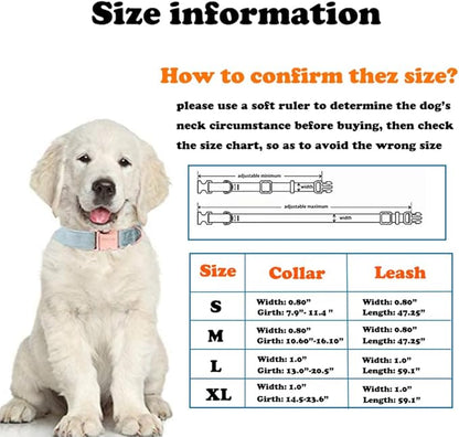 Love Dream Velvet Dog Collar and Leash Set, Soft & Comfy Adjustable Dog Leash and Collar with Heavy Duty Metal Buckle for Small Medium Large Dogs Training & Walking (Medium, Pearl Blue)