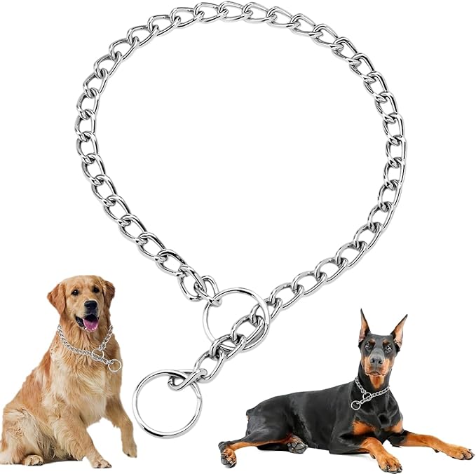 Silver Dog Chain Collars Metal Slip Choke Collar for Dogs Heavy Duty Training Martingale Dog Collars for XXS XS Small Medium Large Breed Pets Dogs, XSmall