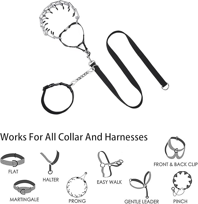Metal Dog Collar Safety Clip, 2 Pack Stainless Steel Backup Clip for Prong Collar, Harness, Pinch Collar, Gentle Lead With Carabiner