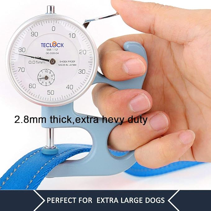 Plutus Pet Dog Leash 6ft Long,Traffic Padded Two Handle,Heavy Duty,Reflective Double Handles Lead for Control Safety Training,Leashes for Large Dogs or Medium Dogs,Dual Handles Leads(Light Blue)