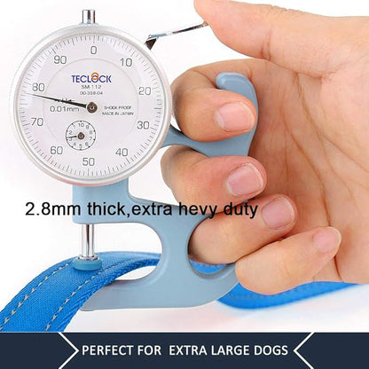 Plutus Pet Dog Leash 6ft Long,Traffic Padded Two Handle,Heavy Duty,Reflective Double Handles Lead for Control Safety Training,Leashes for Large Dogs or Medium Dogs,Dual Handles Leads(Light Blue)
