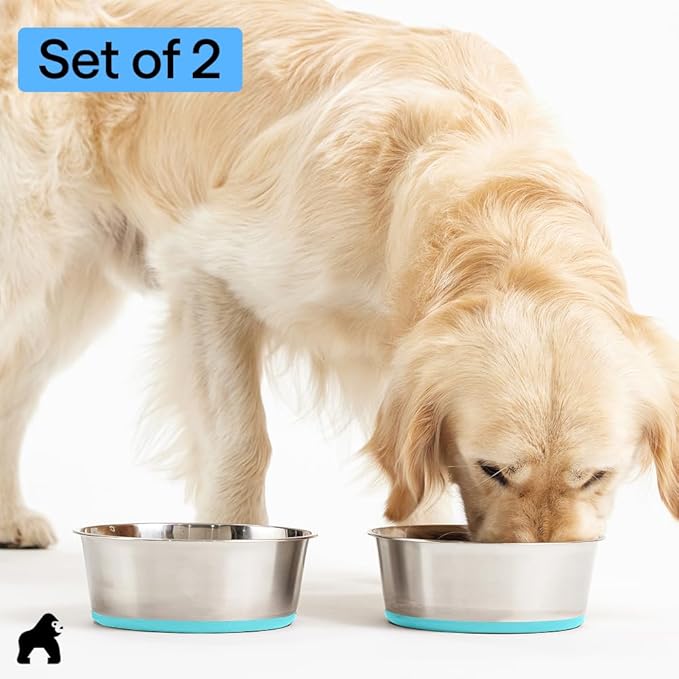 GORILLA GRIP Dog Bowls, Food Grade 304 Stainless Steel Holds 8 Cups Each (64 fl oz) Food and Water Bowl for Feeding Dogs and Cats Dishwasher Safe Rust Resistant BPA Free Rubber Base Set of 2 Turquoise