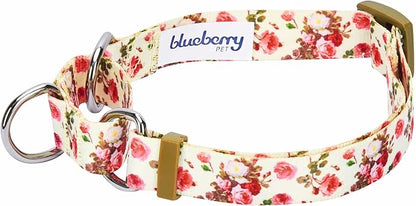 Blueberry Pet Spring Scent Inspired Rose Print Martingale Safety Training Dog Collar, Ivory, Medium, Heavy Duty Adjustable Collars for Dogs