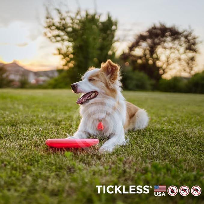 Tickless EcoPet Ultrasonic Tick and Flea Device | Free of Fragrances and Odors | Protection for Cats and Dogs | Lasts 6 Months | Safety in Nature and Cities | On Collar, Harness | for All Pet Sizes