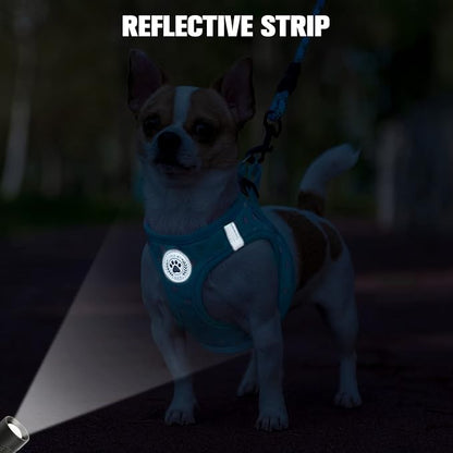 BEAUTYZOO Step in Dog Harness and Leash Set, Polka Dot Pattern Reflective Dog Harness No Pull No Choke Puppy Harness for XXS XS S Dogs Cats, Soft Padded Mesh Vest Harnesses for Girl and Boy Pets