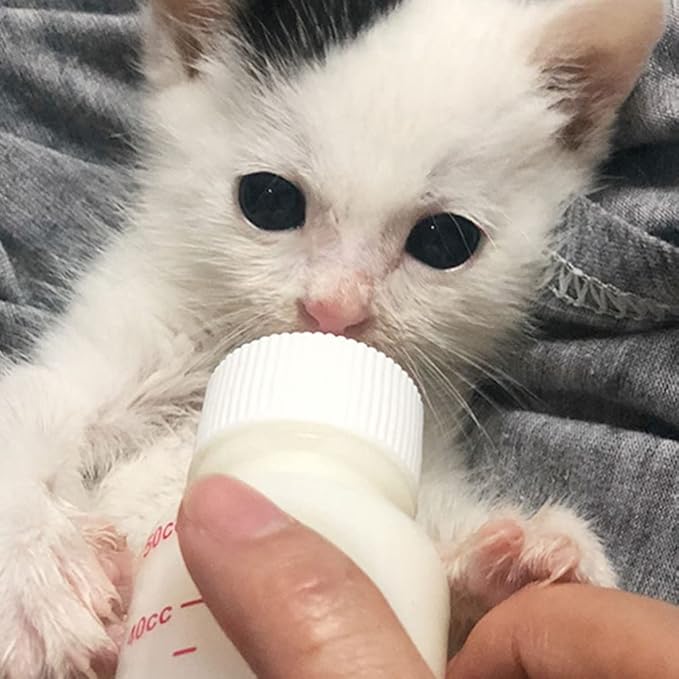 Pet Dog Feeding Bottle: 8Pcs Cat Puppy Small Pets Milk Feeders Medicine Feeding Containers Mini Small Animals Feeding Tools