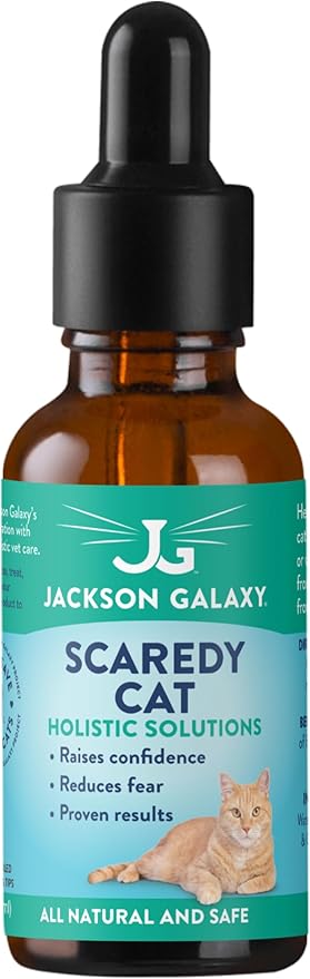 Jackson Galaxy: Scaredy Cat (2 oz.) - Pet Solution - Promotes Sense of Self-Confidence and Reassurance - Perfect for Cats Who Hide and Run from Touch - All-Natural Formula - Reiki Energy