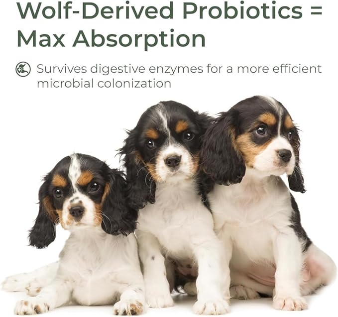Dog Probiotic Powder for Digestive Support | 5 Billion CFU | Gut Health & Immunity Support | Mix-in Powder | 60g | Unflavoured (60g)