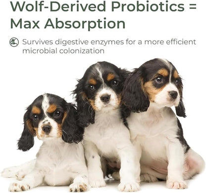 Dog Probiotic Powder for Digestive Support | 5 Billion CFU | Gut Health & Immunity Support | Mix-in Powder | 60g | Unflavoured (60g)
