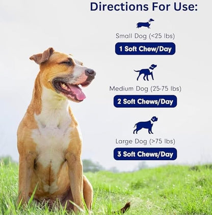 Advanced Liver Support Supplement for Dogs – Milk Thistle, Turmeric, Same & Choline – Liver Detox, Kidney Support, Immunity & Metabolic Boost – Organic Ingredients, Natural Chicken Flavor – 90 Chews