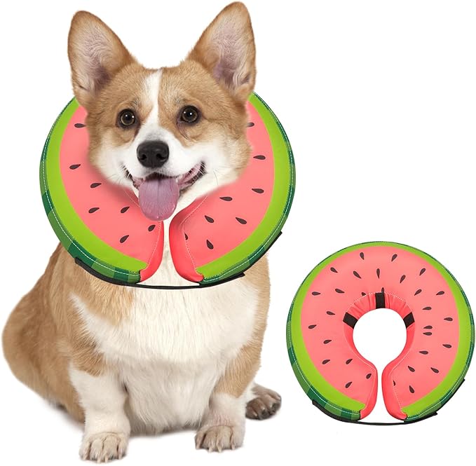 MIDOG Soft Inflatable Dog Cone, Donut E-Collar Alternative for After Surgery, Prevents Licking, Allowing Normal Eating & Vision, Comfortable Recovery Collar for Small Medium Large Dogs & Cats, Red-S
