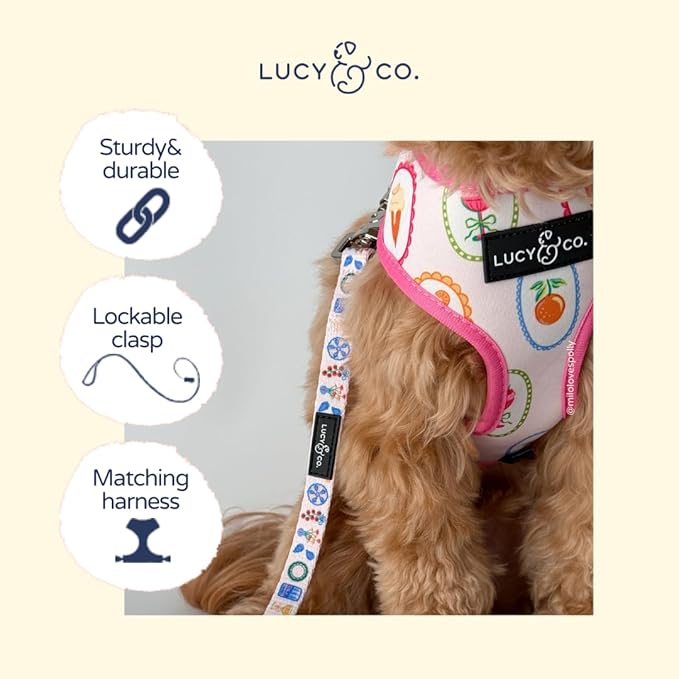 Lucy & Co. Dolce Vita Dog Leash, Durable Matching Dog Lead with Heavy Duty Hardware, Small