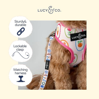 Lucy & Co. Dolce Vita Dog Leash, Durable Matching Dog Lead with Heavy Duty Hardware, Small