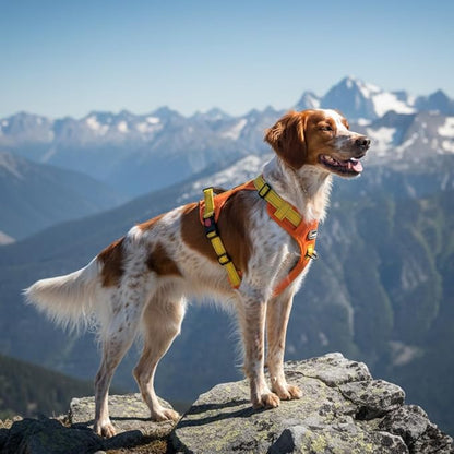 Tactical Dog Harness for Large Medium Dogs No Pull Adjustable Pet Vest with Reflective Straps Front & Back Clips Handle for Hiking Walking Hunting– 4 Sizes with or Without Leash (Orange, M)
