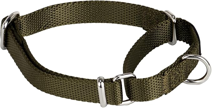 Hyhug Martingale Collar for Dogs Small Green |Escape - Proof Heavy Duty Nylon Durable No Buckle, Ideal for Training & Daily Walks