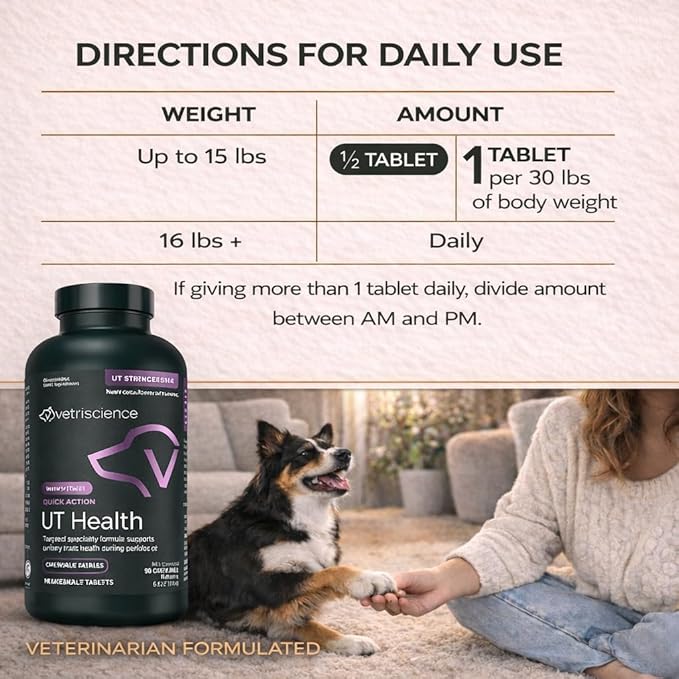 VetriScience Quick Action UT Health Chewable Tablets, UT Strength STAT Supplement for Dogs, Cranberry, Uva Ursi, and Chanca Piedra to Soothe Urinary Tract Discomfort, Smoke, 90 Count