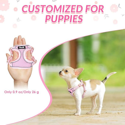 Lukovee No Pull Puppy Harness and Leash Set - Soft Lightweight Escape Proof Puppy Vest Harness, Breathable Adjustable Pet Harness with Dog Leash for Small Dogs (Pink, M)
