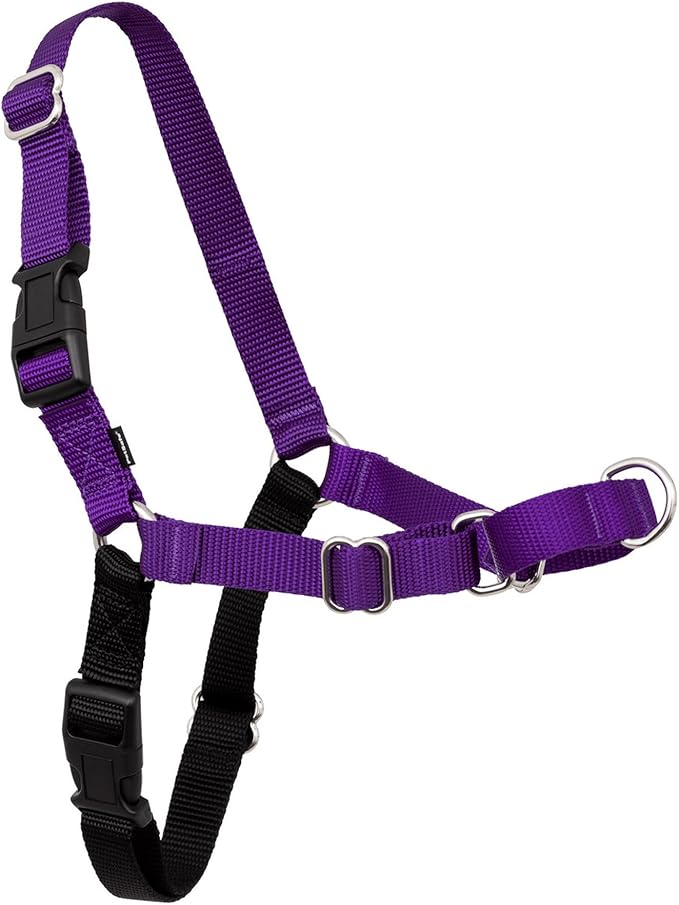 PetSafe Easy Walk Harness for Dogs - Pull-Free Walks - Patented Martingale Loop Design - Front Chest Leash Attachment - Comfort Straps - Breathable Harness Design - Small, Deep Purple/Black