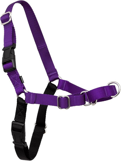 PetSafe Easy Walk Harness for Dogs - Pull-Free Walks - Patented Martingale Loop Design - Front Chest Leash Attachment - Comfort Straps - Breathable Harness Design - Small, Deep Purple/Black