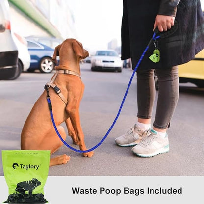 Taglory Rope Dog Leash 4 FT with Comfortable Padded Handle, Highly Reflective Threads Leash and Anti-Tangle Clip for Walking Small Dogs, 3/8 inch, Navyblue