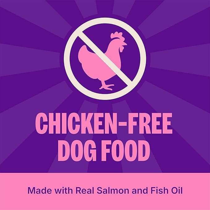 Wellness Complete Health Sensitive Skin and Stomach Dry Dog Food, Wholesome Grain Kibble, Natural, Chicken Free, Salmon and Rice Recipe, 24 lb Bag