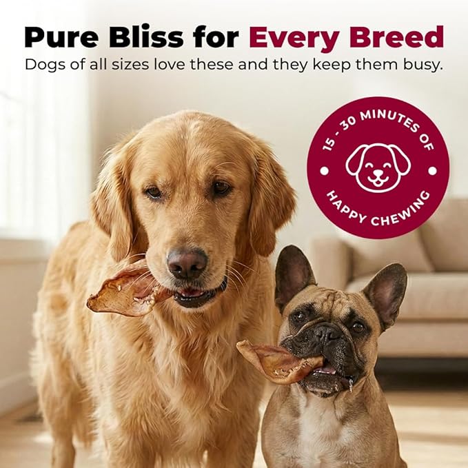 Best Pet Supplies GigaBite Half-Cut Pig Ears for Dogs - All-Natural Slow-Roasted Chews that Clean Teeth and Satisfy Aggressive Chewers - 20 Pack for Medium, Large Dogs