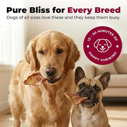 Best Pet Supplies GigaBite Half-Cut Pig Ears for Dogs - All-Natural Slow-Roasted Chews that Clean Teeth and Satisfy Aggressive Chewers - 20 Pack for Medium, Large Dogs