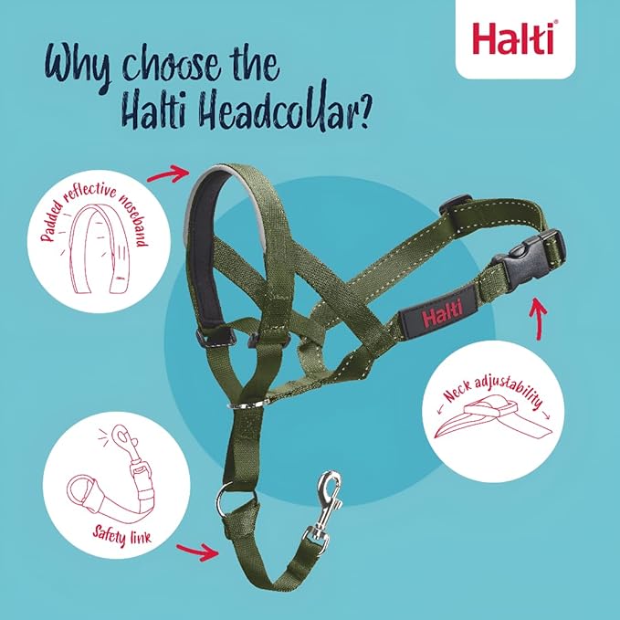 Halti Headcollar - Stop Your Dog Pulling on The Leash. Adjustable, Reflective and Lightweight, with Padded Nose Band. Dog Training Anti-Pull Collar for Medium Dogs (Size 2, Forest Green)