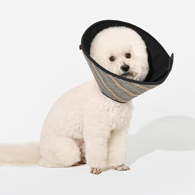 Puppia Dandy Cone Collar for Dogs After Surgery Fashionable Comfortable Pet Recovery Collar Elizabethan Dog Collar, Black, Small