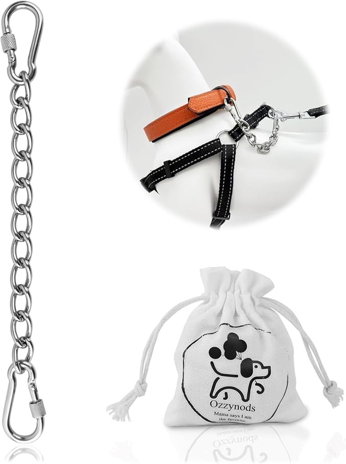 Dog Collar Safety Clip, Chew Proof Prong Collar Double Ended Backup Clasp Stainless Steel, Heavy Duty Dog Chain Leash Connector for Harness, Pinch, Gentle Lead with Carabiner, 10in